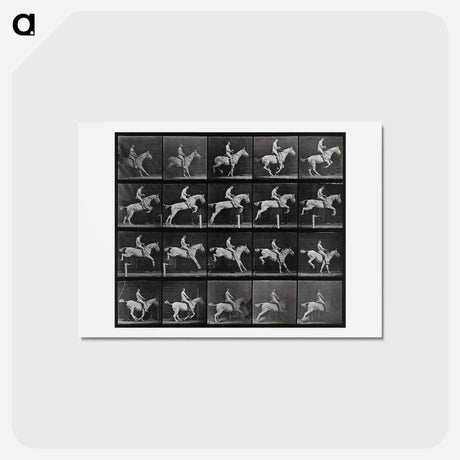 アートポストカード-Jumping Horse
 - エドワード マイブリッジ Postcard.