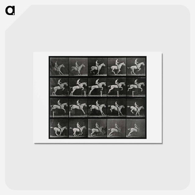 アートポストカード-Jumping Horse
 - エドワード マイブリッジ Postcard.