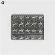 3-50_Eadweard-Muybridge_memo
