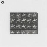 3-50_Eadweard-Muybridge_memo