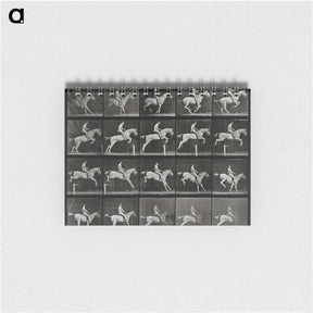 3-50_Eadweard-Muybridge_memo