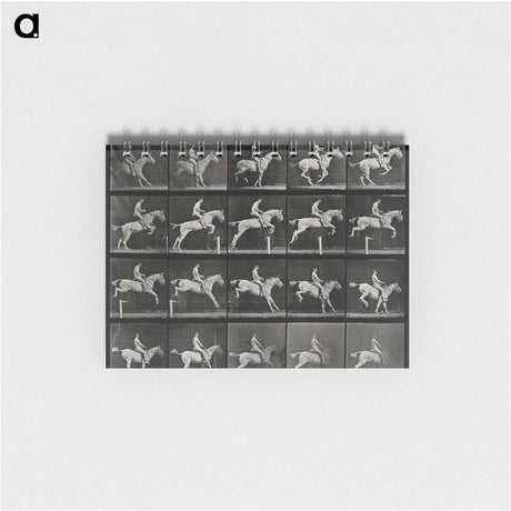 3-50_Eadweard-Muybridge_memo