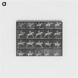 アートメモ帳-Jumping Horse
 - エドワード マイブリッジ Memo.