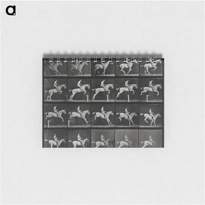 アートメモ帳-Jumping Horse
 - エドワード マイブリッジ Memo.