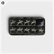 3-50_Eadweard-Muybridge_phone