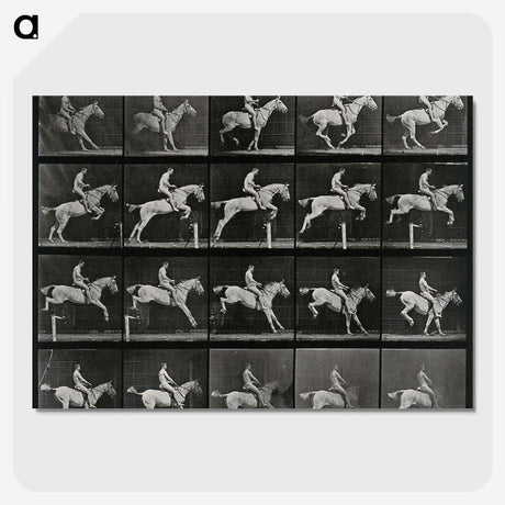 3-50_Eadweard-Muybridge_picture-crop