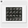 3-50_Eadweard-Muybridge_picture