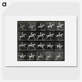 3-50_Eadweard-Muybridge_picture