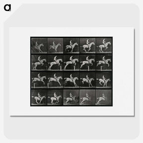 3-50_Eadweard-Muybridge_picture
