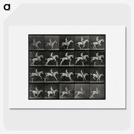 3-50_Eadweard-Muybridge_picture