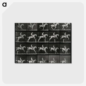 3-50_Eadweard-Muybridge_postcard