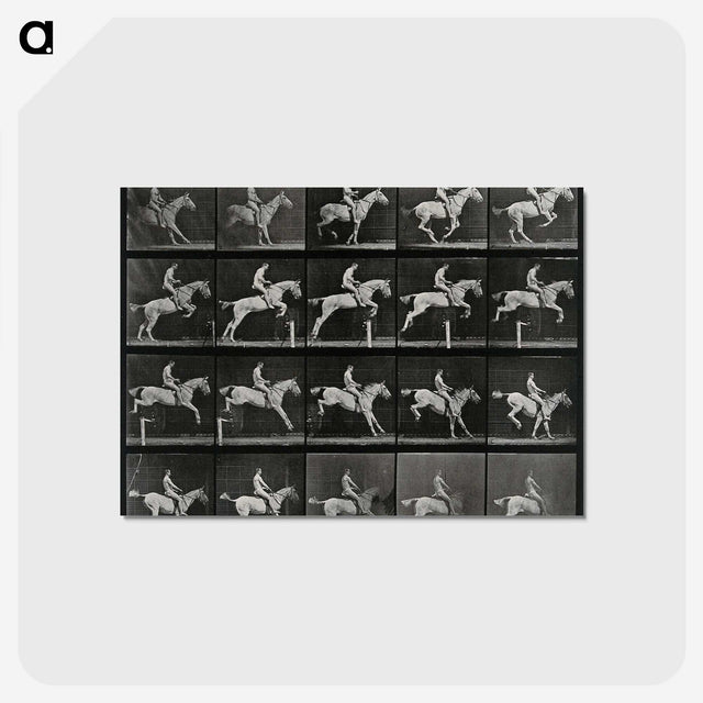 3-50_Eadweard-Muybridge_postcard
