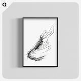 3-50_Ernst-Haeckel_blk-crop