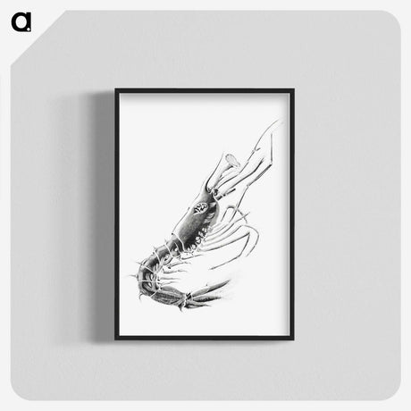 3-50_Ernst-Haeckel_blk-crop