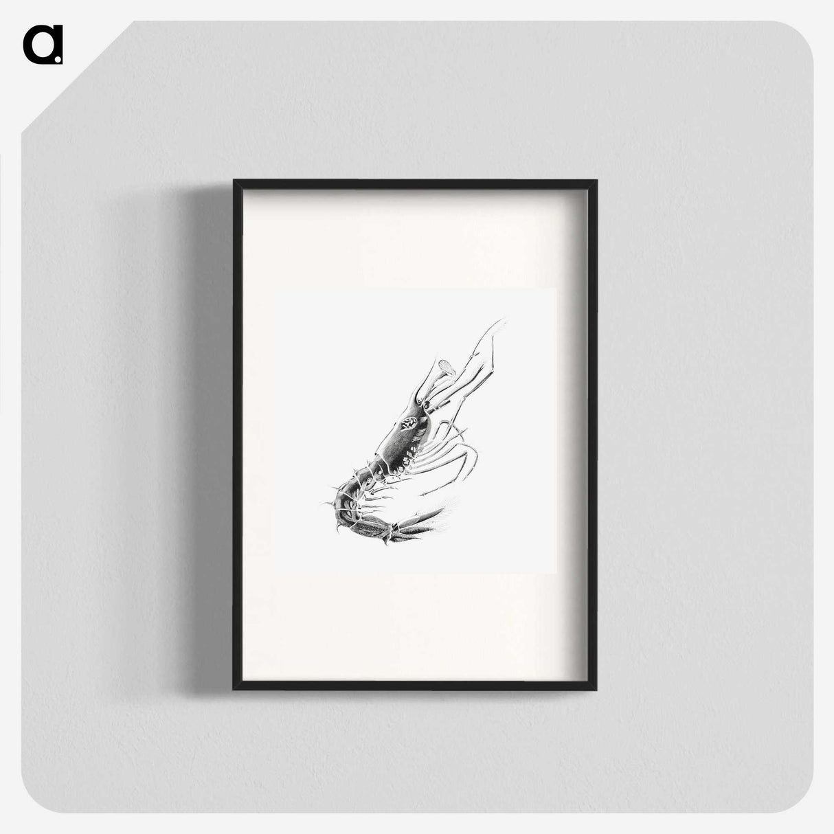 3-50_Ernst-Haeckel_blk