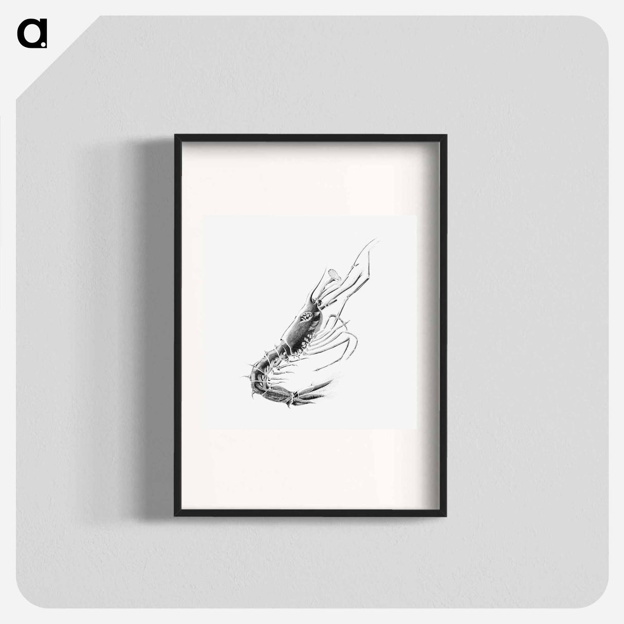 Vintage prawn marine life illustration - エルンスト ヘッケル Poster.