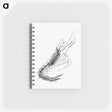 3-50_Ernst-Haeckel_memo
