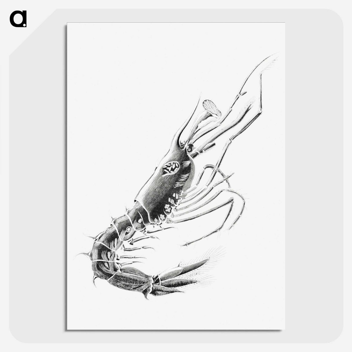 3-50_Ernst-Haeckel_picture-crop