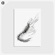 3-50_Ernst-Haeckel_postcard