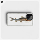3-50_Ichtyologie-ou-Histoire-naturelle_phone