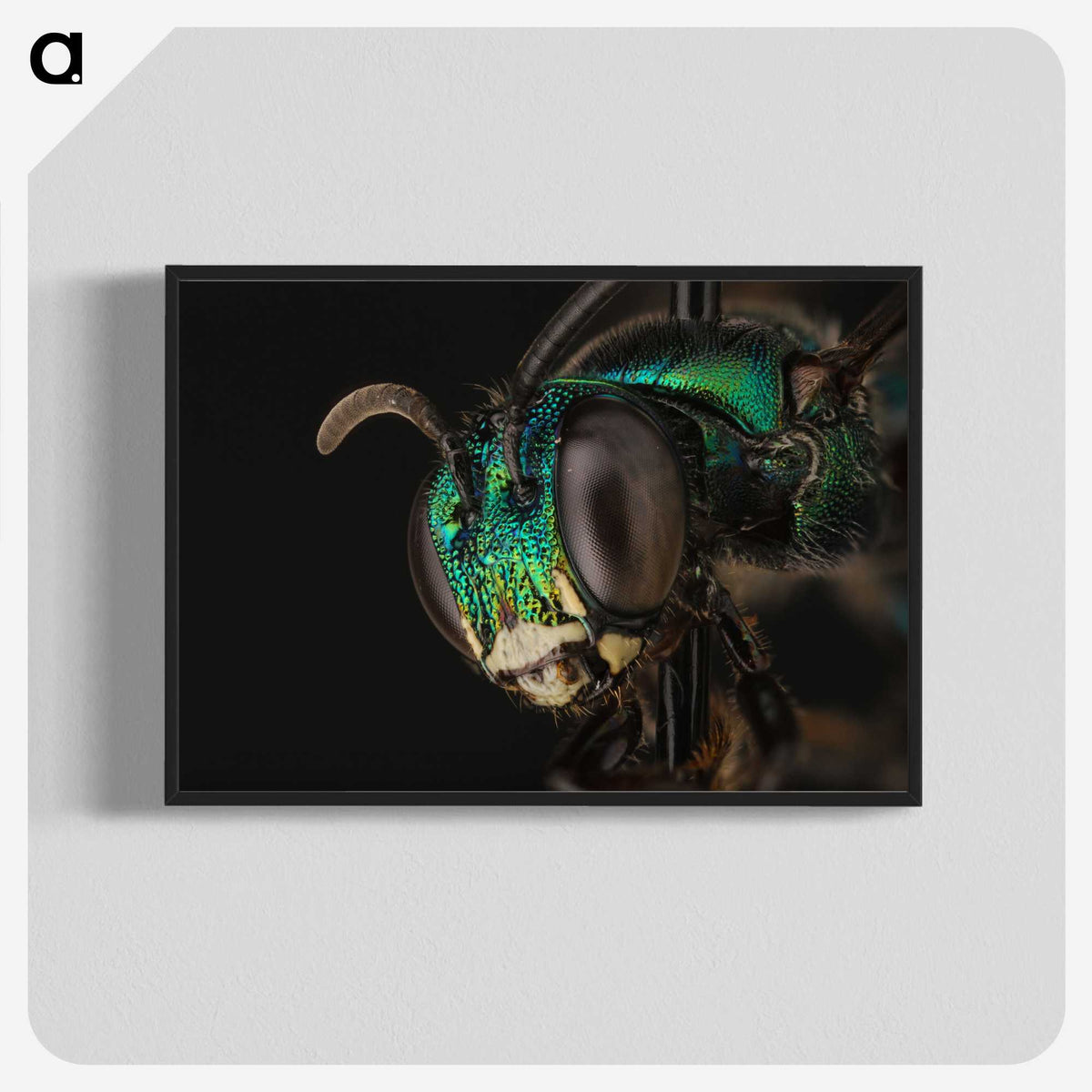 3-50_Insects-Unlocked-Project_blk-crop