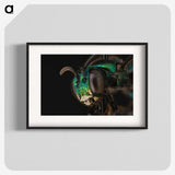 3-50_Insects-Unlocked-Project_blk