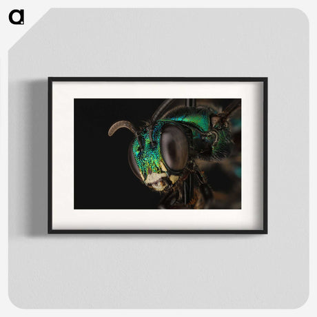 3-50_Insects-Unlocked-Project_blk