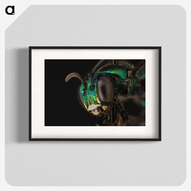 3-50_Insects-Unlocked-Project_blk