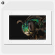 3-50_Insects-Unlocked-Project_picture