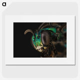 3-50_Insects-Unlocked-Project_picture