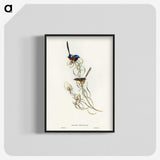 3-50_John-Gould_blk-crop