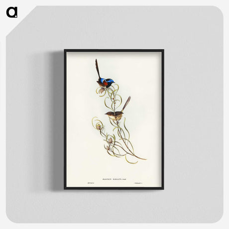 3-50_John-Gould_blk-crop