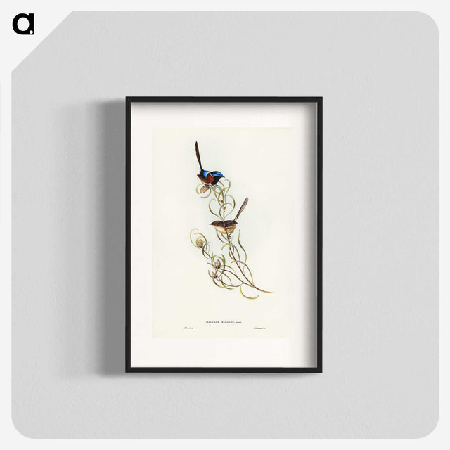 3-50_John-Gould_blk