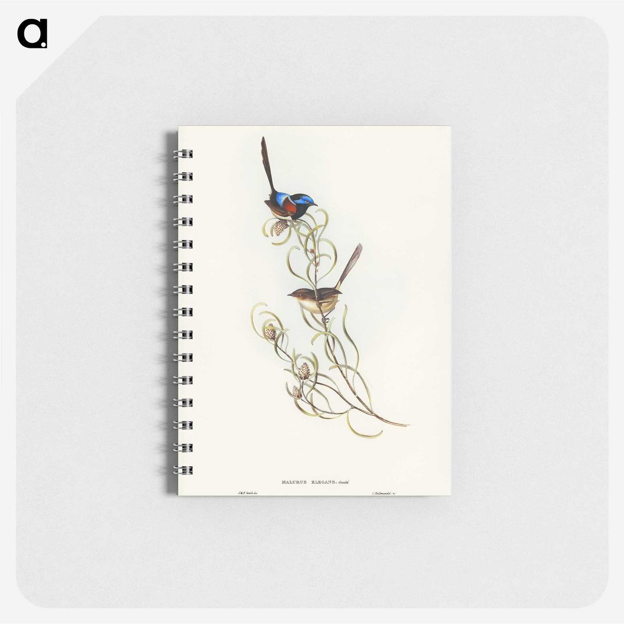 3-50_John-Gould_memo