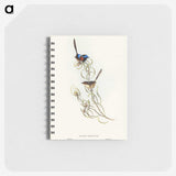 3-50_John-Gould_memo