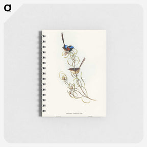 3-50_John-Gould_memo