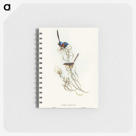 3-50_John-Gould_memo