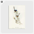 3-50_John-Gould_postcard