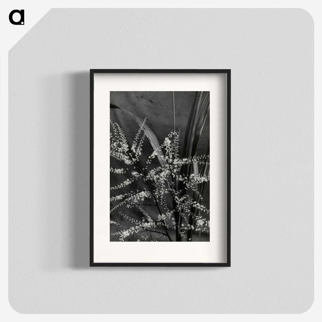 3-50_Leslie-Adkin_blk