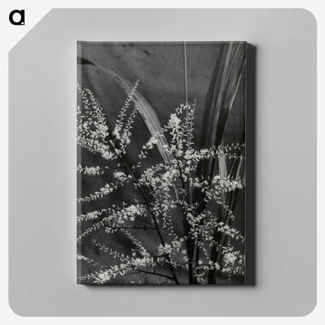 3-50_Leslie-Adkin_canvas