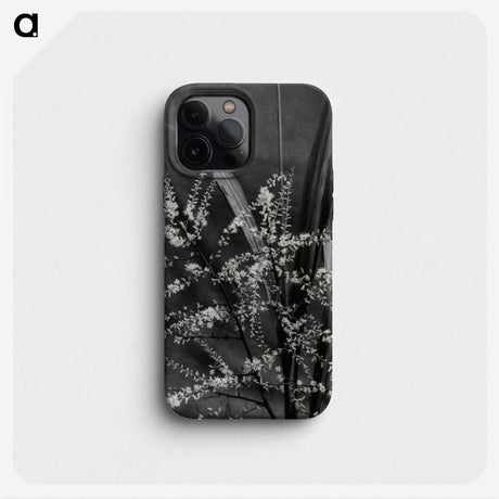 3-50_Leslie-Adkin_phone