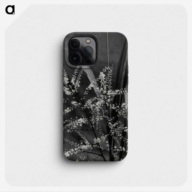 3-50_Leslie-Adkin_phone