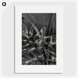 3-50_Leslie-Adkin_picture