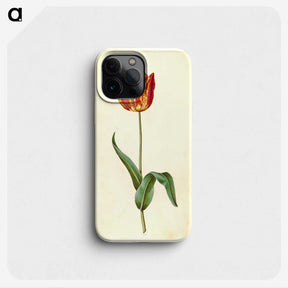 3-50_Maria-Sibylla-Merian_phone