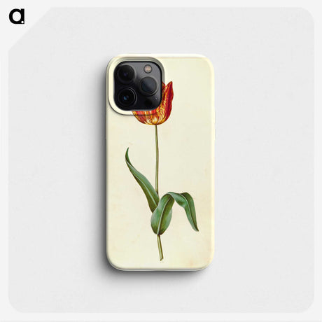 3-50_Maria-Sibylla-Merian_phone
