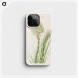 3-50_Mary-Vaux-Walcott_phone
