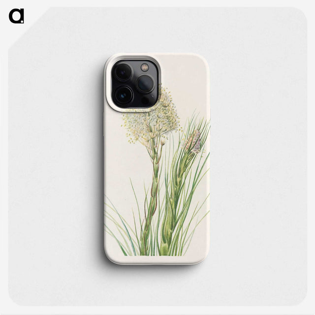 3-50_Mary-Vaux-Walcott_phone