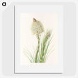 3-50_Mary-Vaux-Walcott_picture