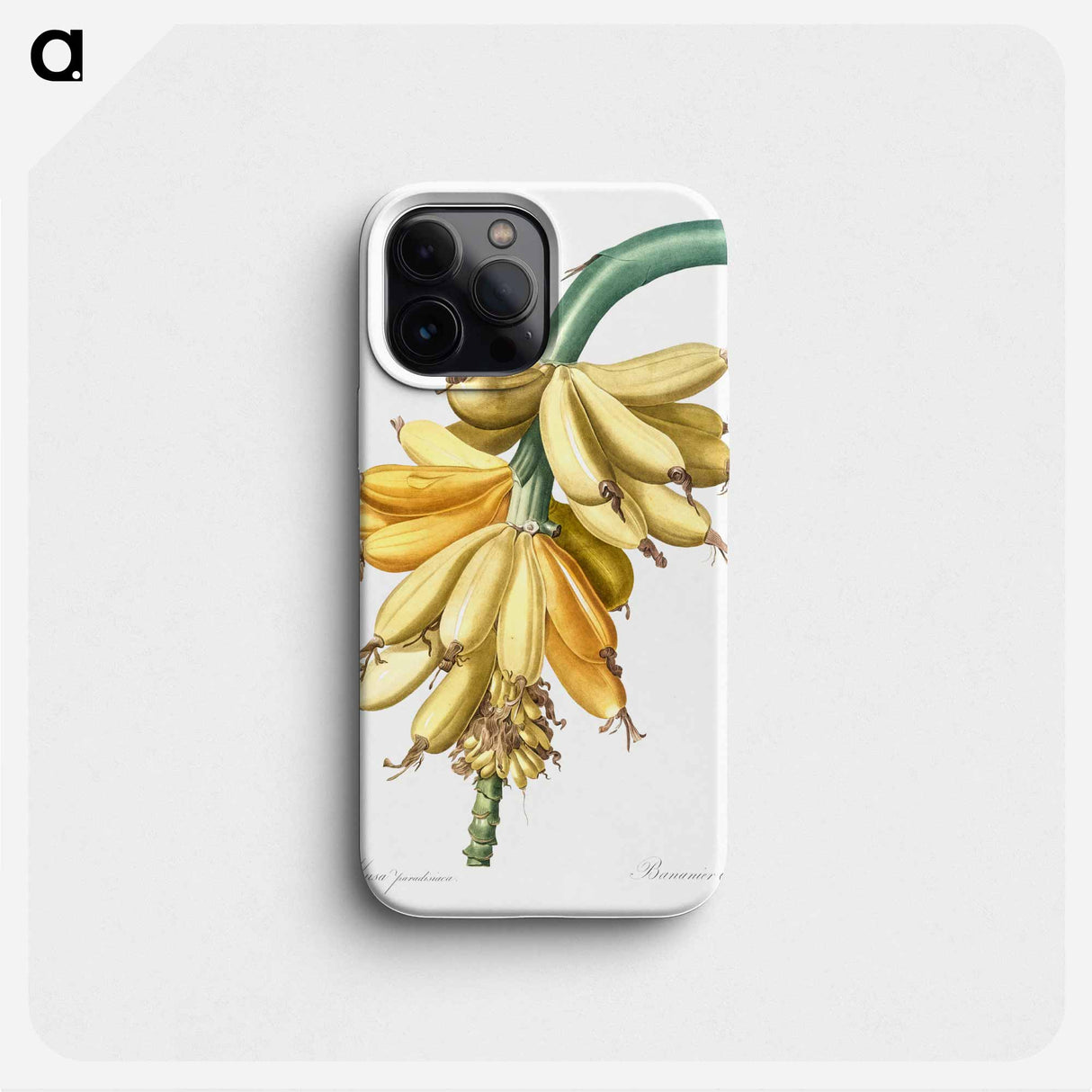 Banana illustration from Les liliacées - ピエール ジョゼフ ルドゥーテ Phone Case.