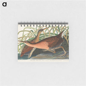 アートメモ帳-Fresh Water Marsh Hen from Birds of America
 - アメリカの鳥たち Memo.